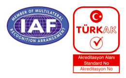 CE işareti (geçici)